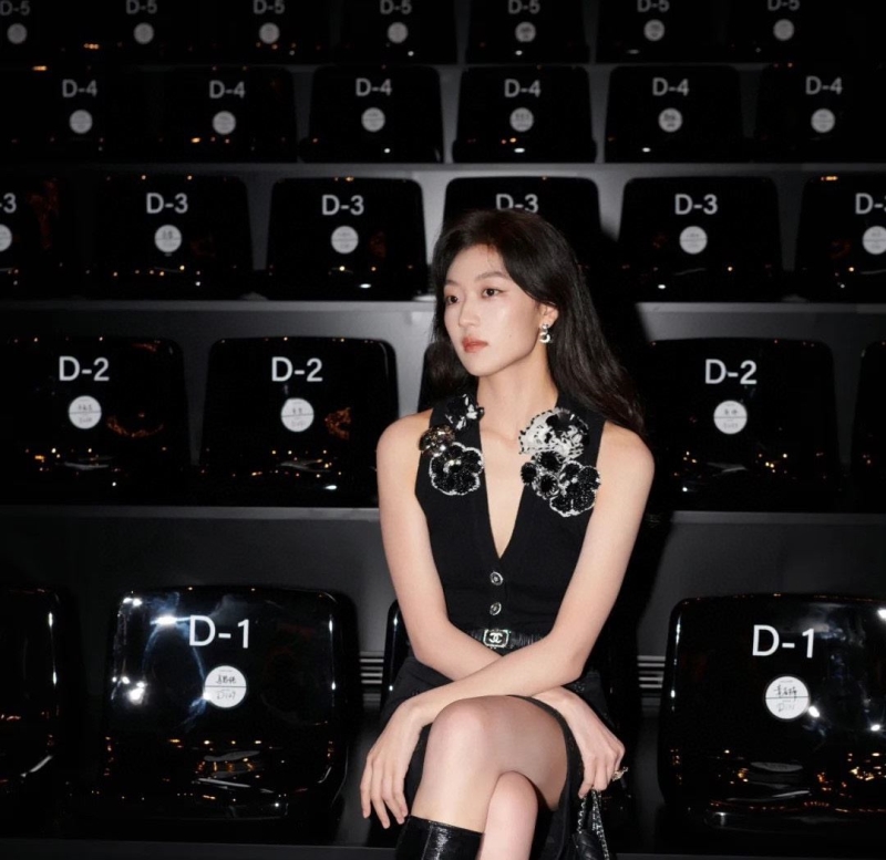 Ch**el earrings